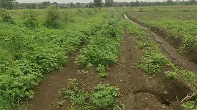 9PMW+9R4, Vikarabad, Kotpalli, Telangana 501106, India preview 3