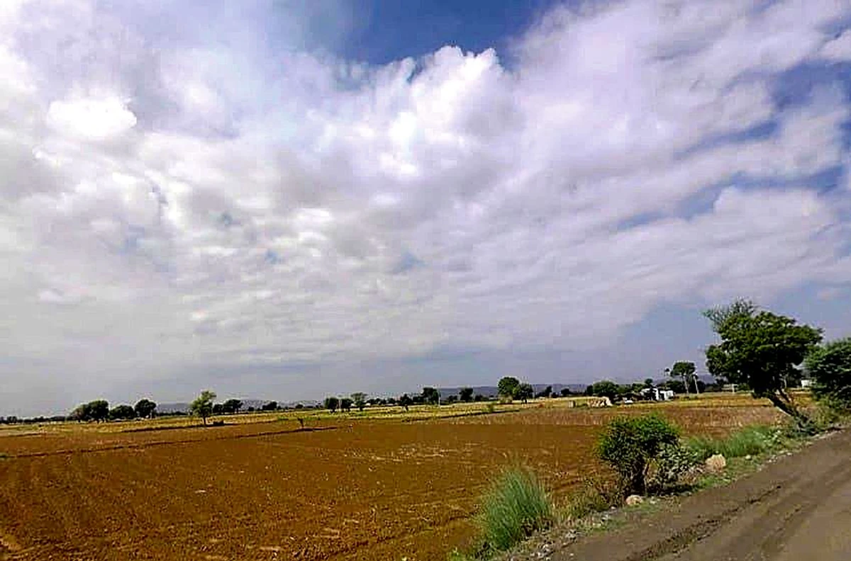 Beejwa, Rajasthan, India