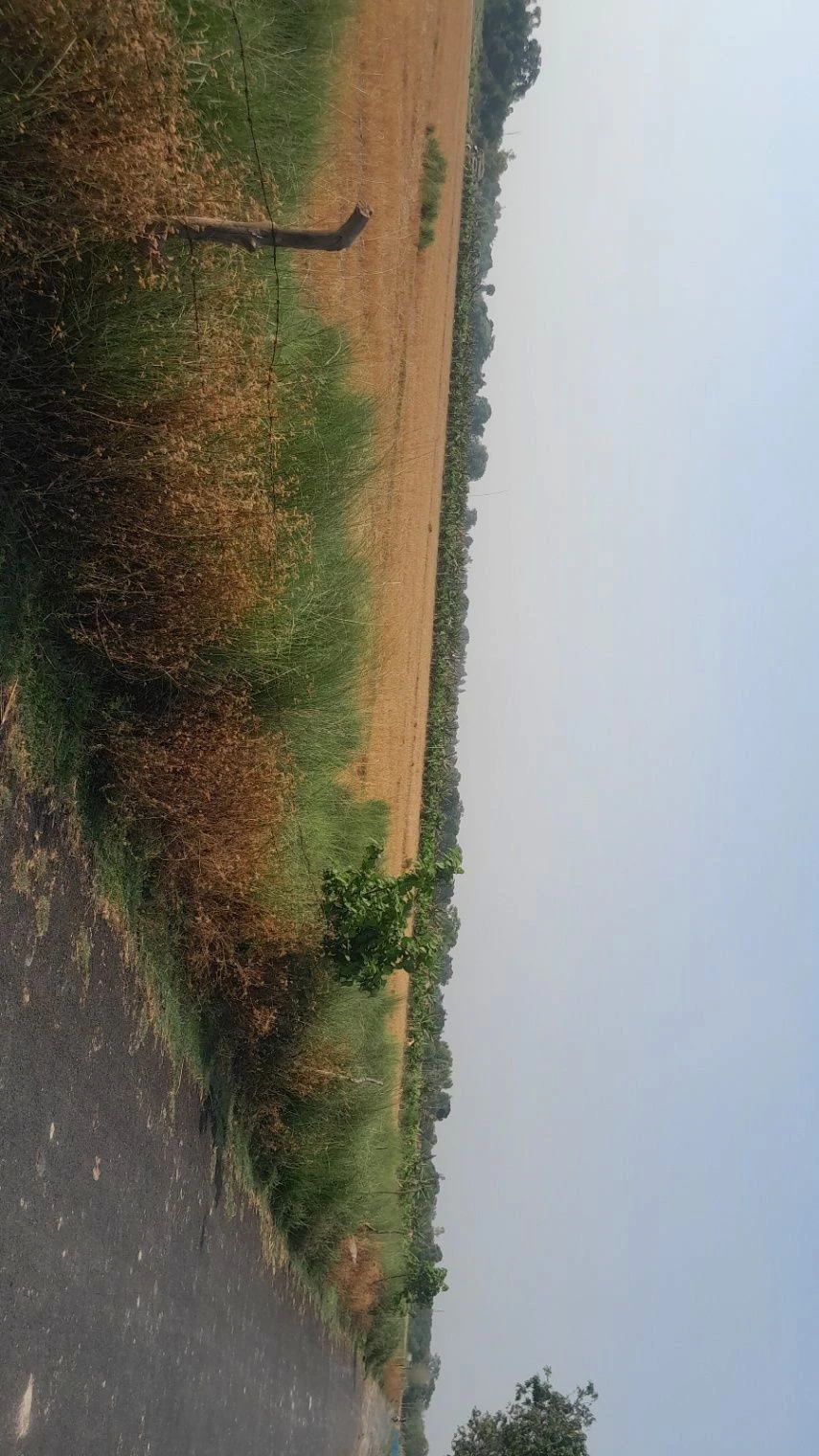 M5R2+94 Mainuddinpur, Uttar Pradesh, India