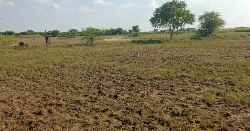 Machari, Rajasthan 301408, India