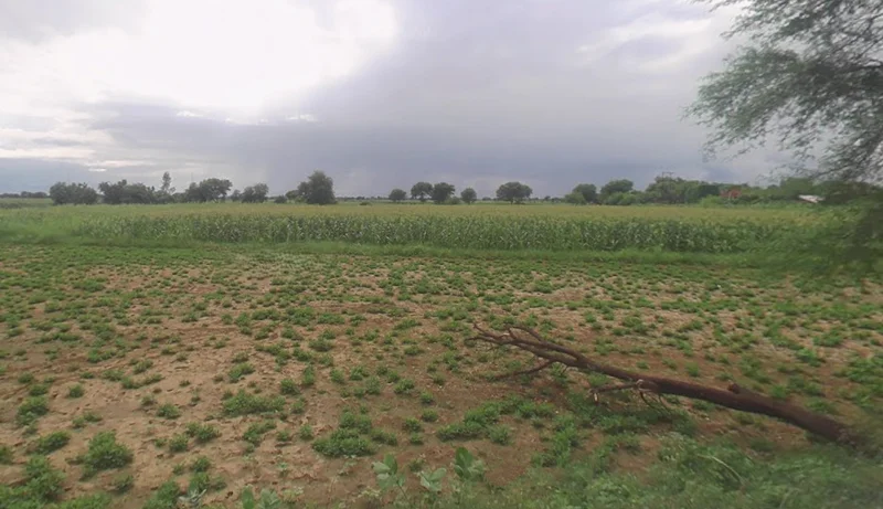 Chunar, Uttar Pradesh 231304, India preview 3