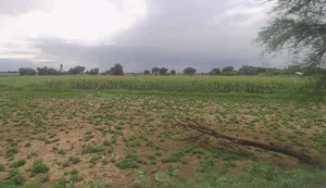 Chunar, Uttar Pradesh 231304, India preview 3