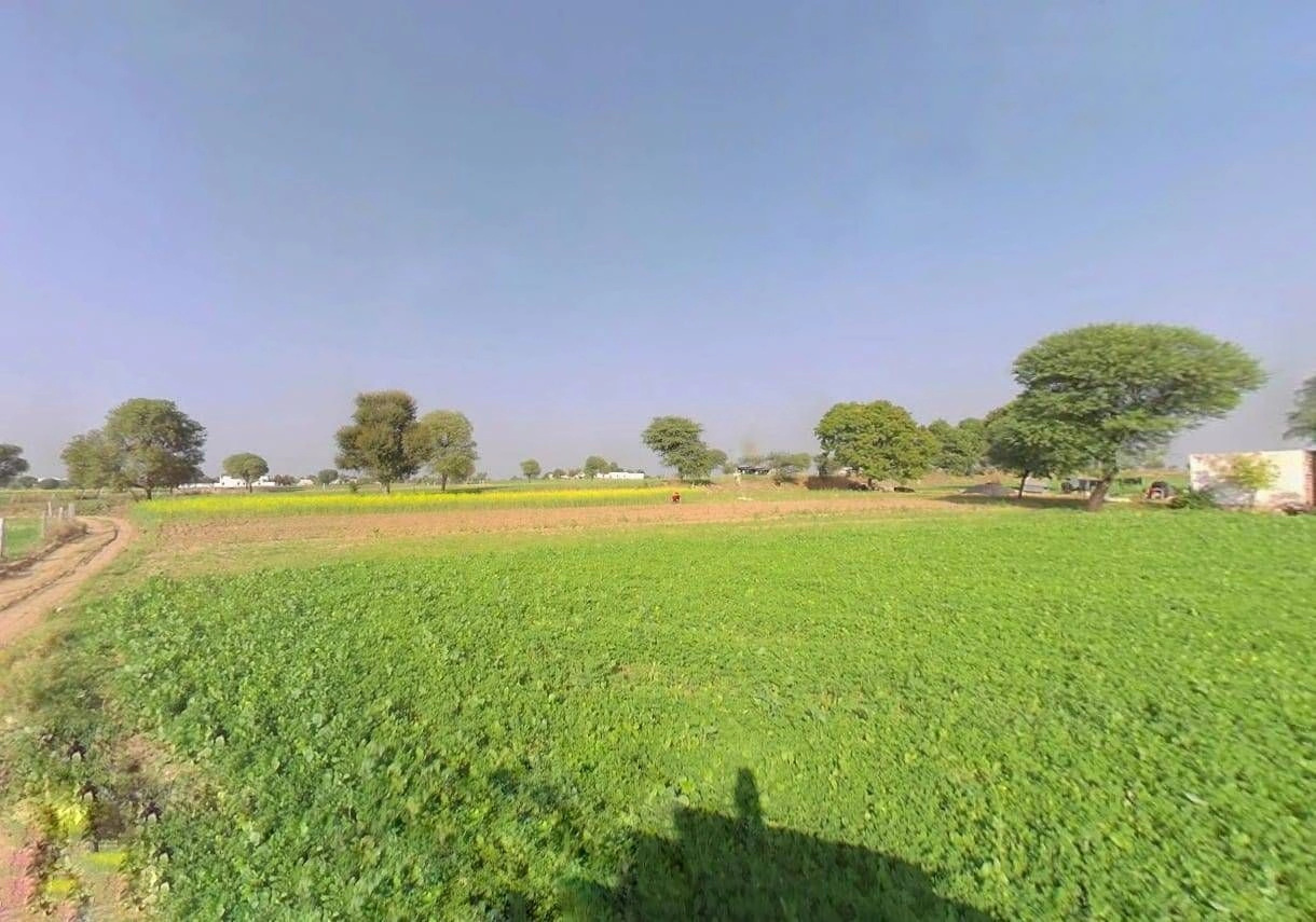 8JF5+Q3Q, Sargoth, Rajasthan 332404, India