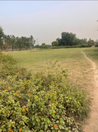 2M33+C7H, Tejrasar, Rajasthan 334202, India