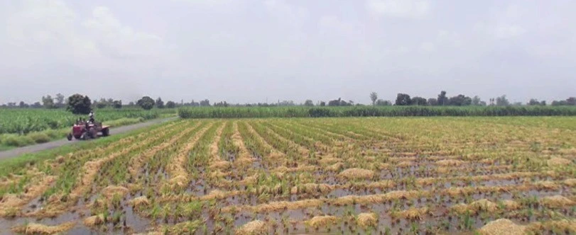 Chintaman Ganesh Mandir, Ujjain, Ratnakhedi, Madhya Pradesh 456006, India