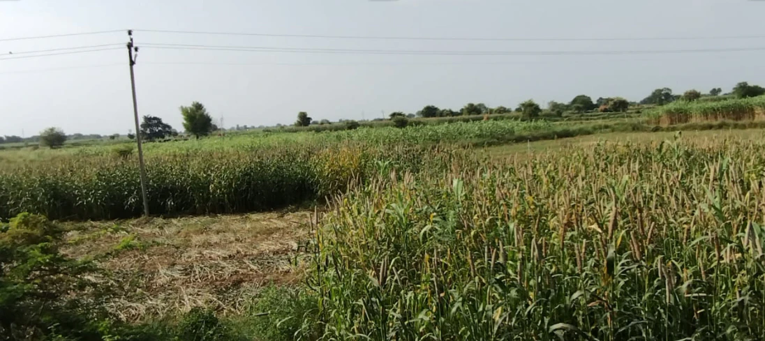 Kranti, West Bengal 735218, India