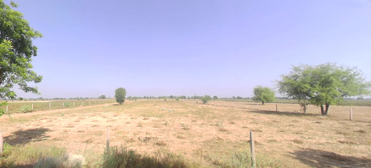Risalia Khera, Haryana 125103, India
