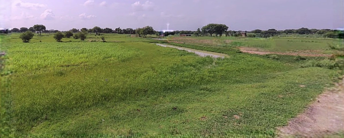 Sonipat, Haryana, India