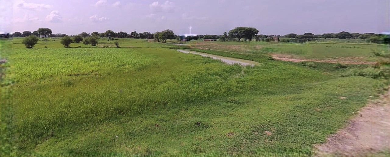 Sonipat, Haryana, India
