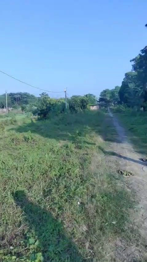 C26M+6Q3, Mirzapur, Bihar 803203, India