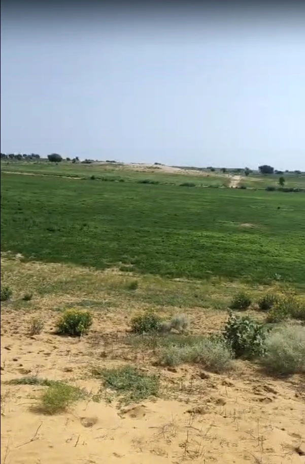 GR64+QW6, Poogal, Rajasthan 334808, India