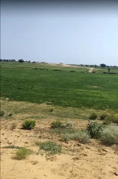 GR64+QW6, Poogal, Rajasthan 334808, India preview 2