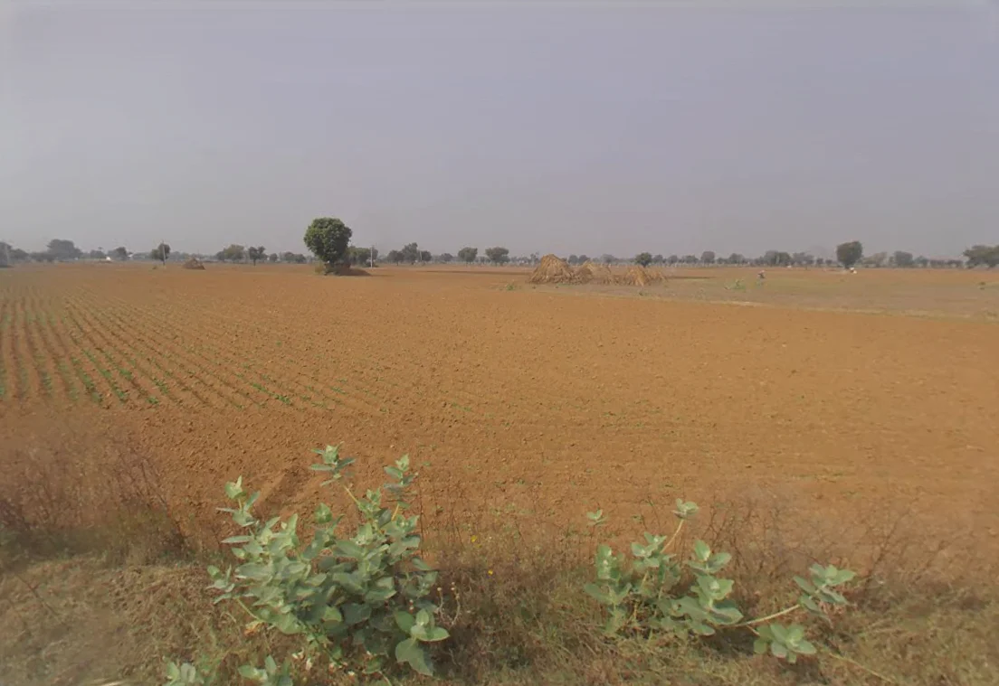 Nangal Chaudhary, Haryana 123023, India preview 3