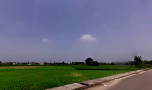 3M77+HVW, Bodhani, Loatani, Haryana 136129, India preview 2