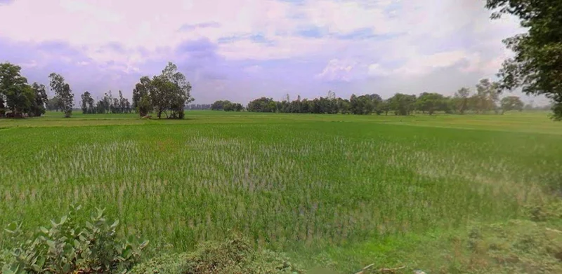 Kathoomar, Rajasthan 321605, India preview 2