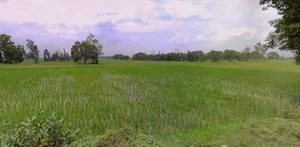 Kathoomar, Rajasthan 321605, India preview 2