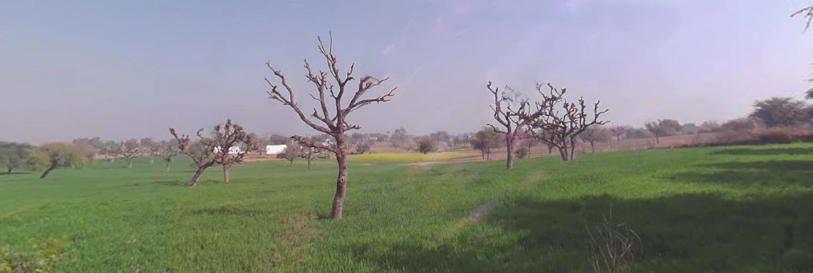 Khachariawas, Rajasthan 332710, India