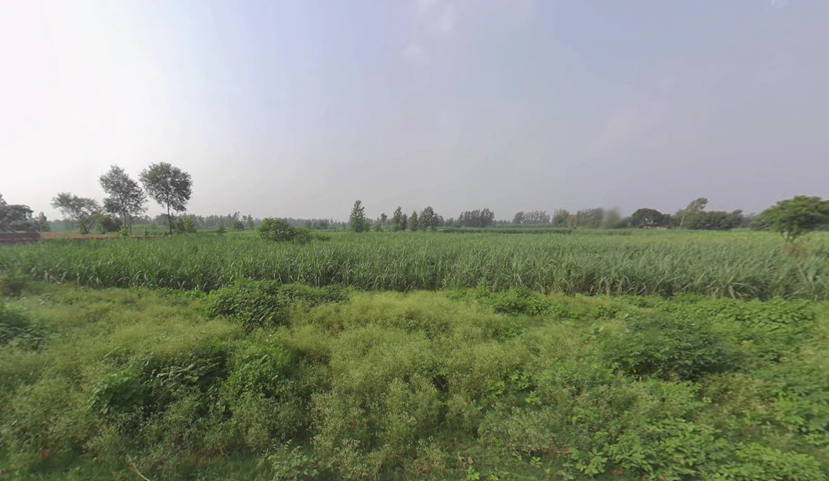 Nakur, Uttar Pradesh 247342, India