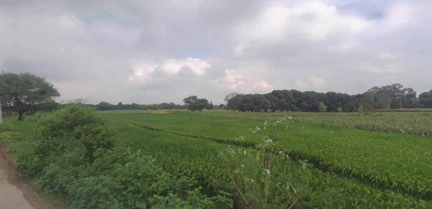 Puranpur, Uttar Pradesh 262122, India