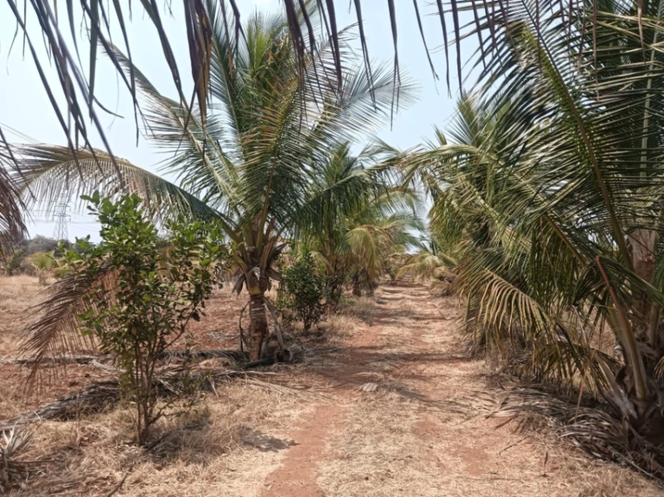 Hiriyur, Karnataka, India