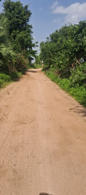 6H6P+WR5, Siddipet, Gosanpally, Telangana 502108, India preview 2