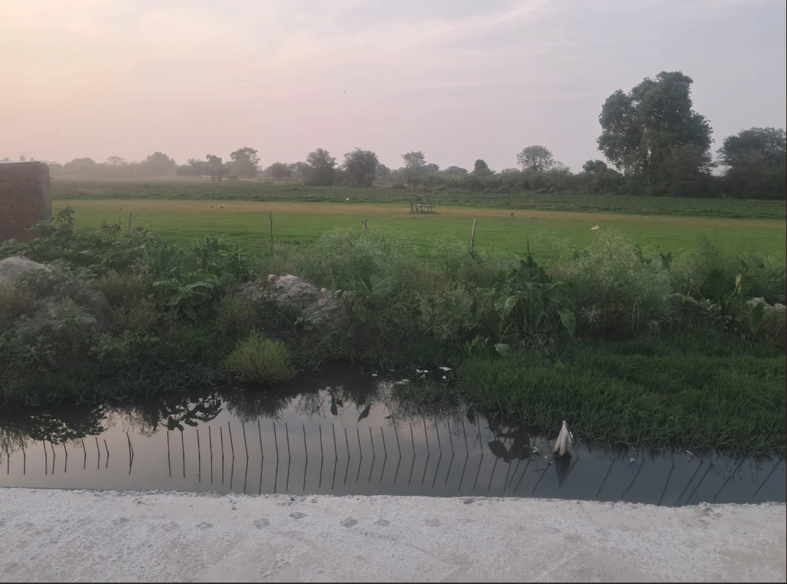 Kaler, Punjab, India