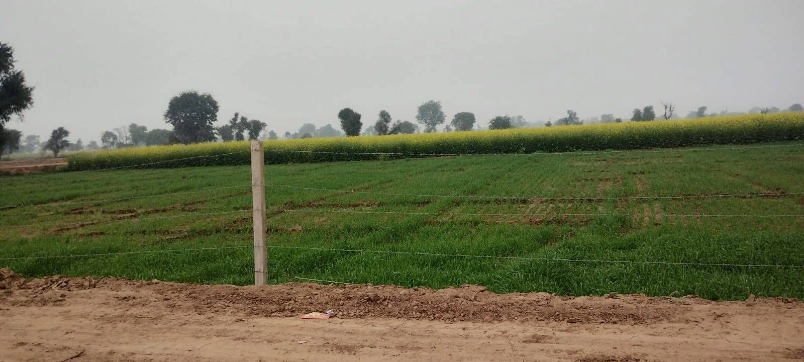 Achrol, Rajasthan 303002, India