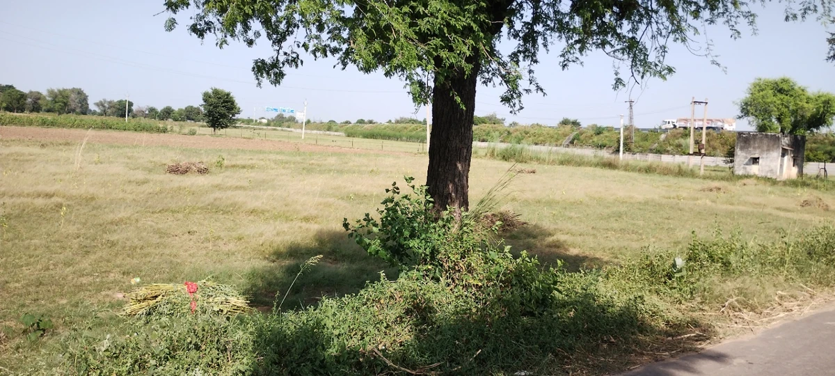 Bedha, Rajasthan 301021, India
