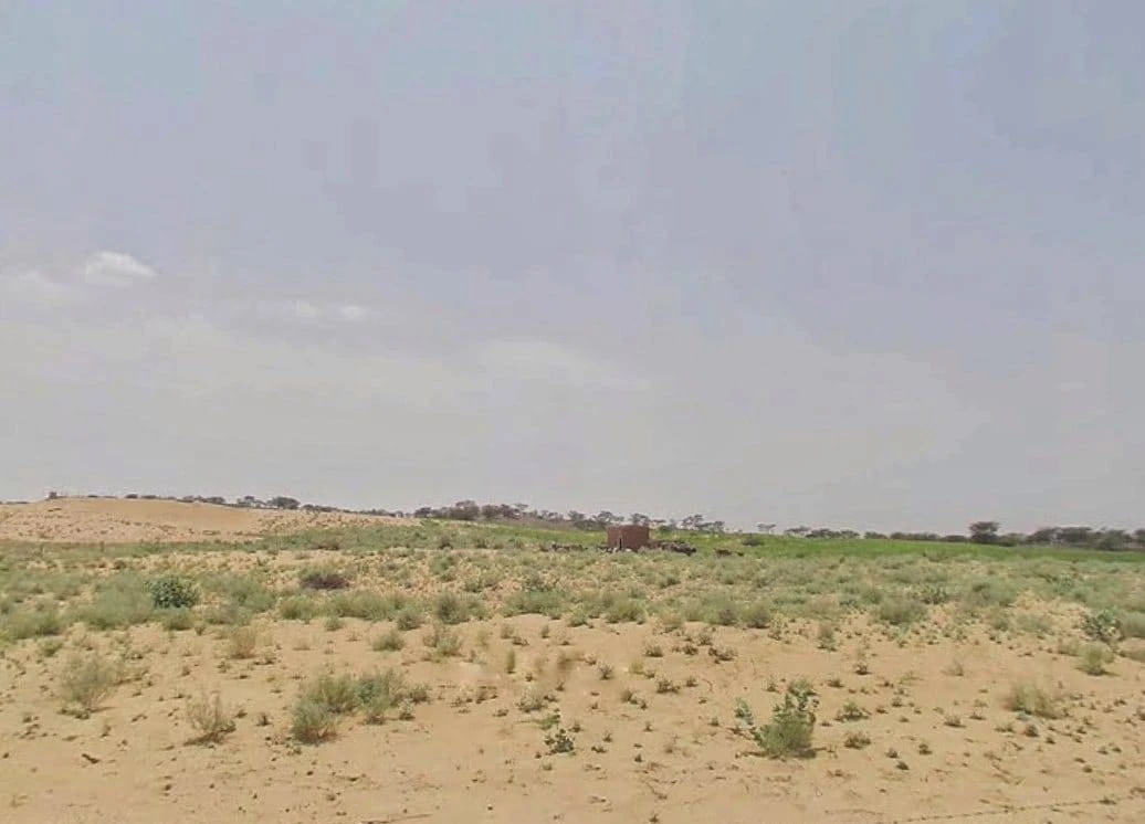 Suratgarh, Rajasthan 335804, India