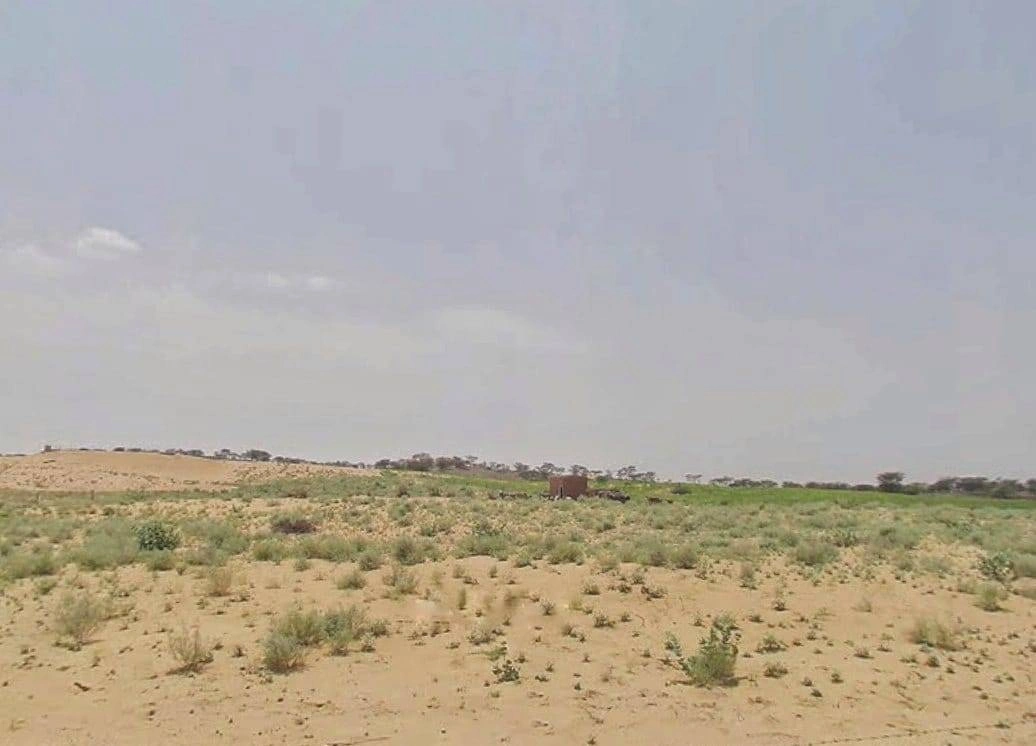 Suratgarh, Rajasthan 335804, India