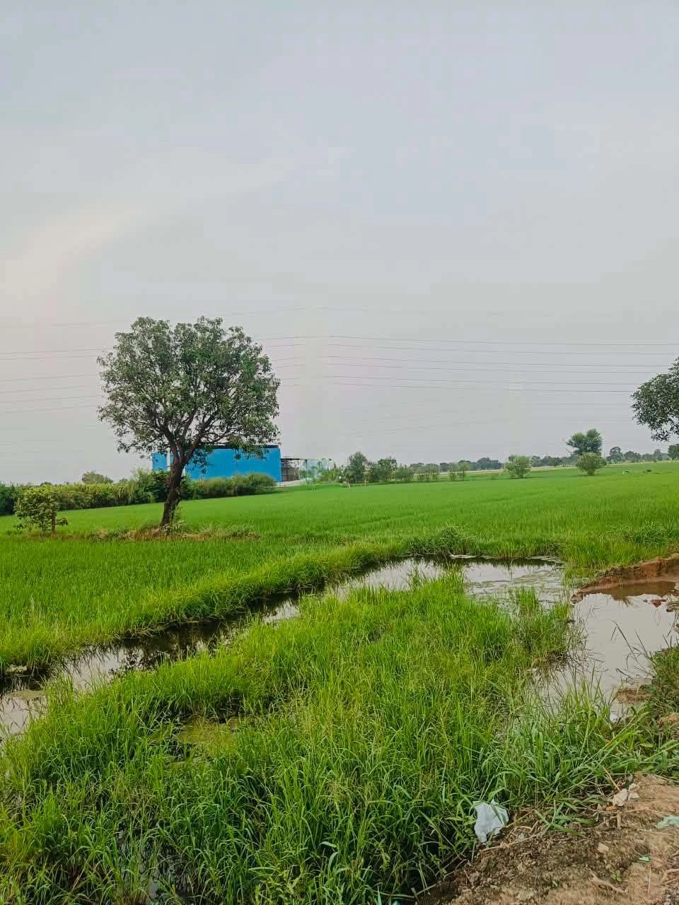 Borpa, Mathura, Uttar Pradesh, India - Photo 2