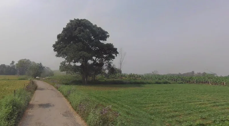 Gohanakalan, Uttar Pradesh, India preview 2