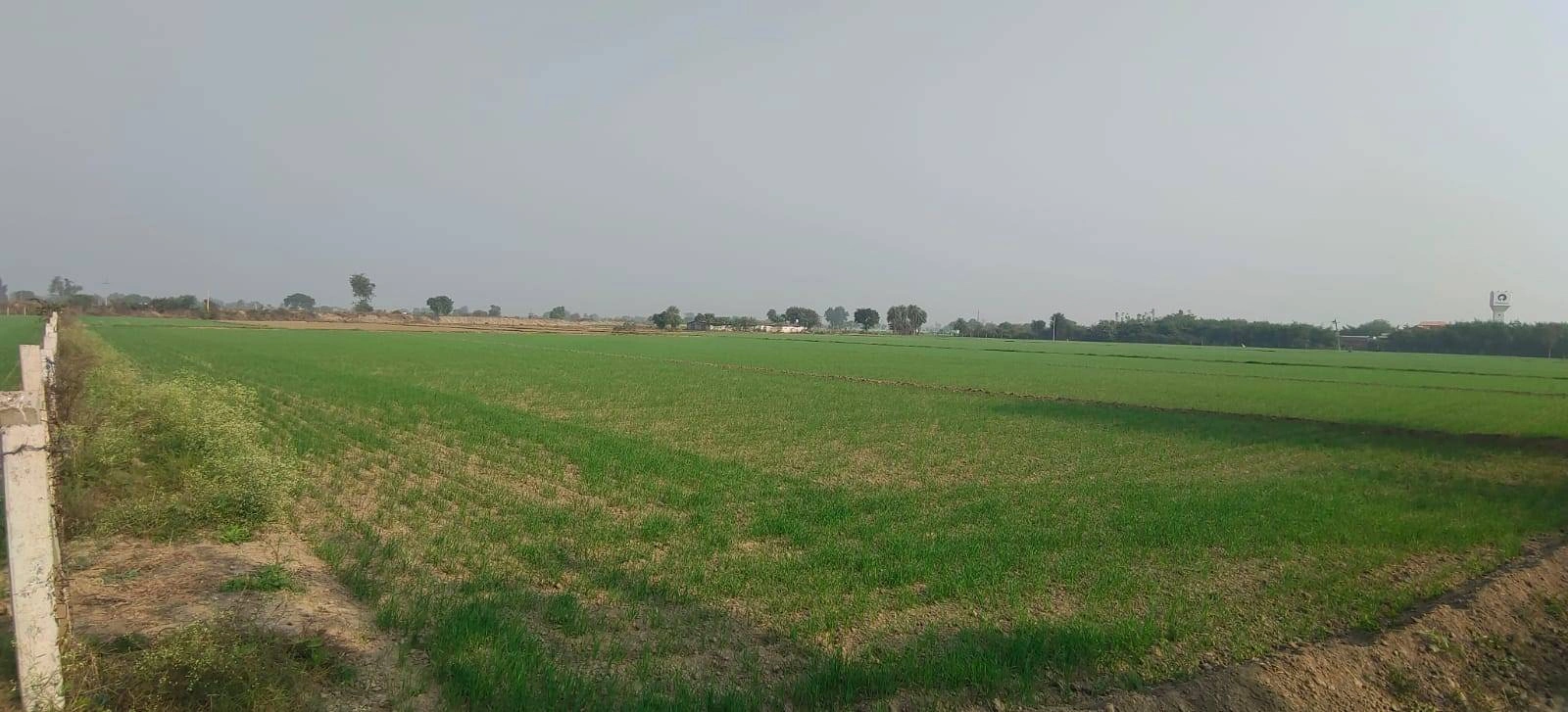 Ogar, Uttar Pradesh 202136, India