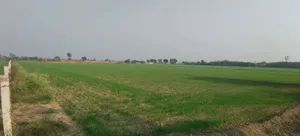 Ogar, Uttar Pradesh 202136, India preview 2