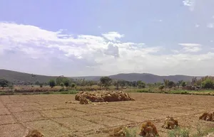 QPC2+G9 Ismalpur, Rajasthan, India preview 3