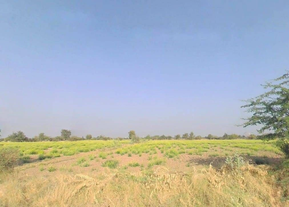 V5VM+67M, Bandai, Rajasthan 306421, India