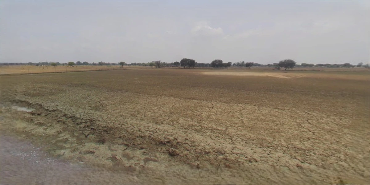 Charkhi Dadri, Haryana 127306, India