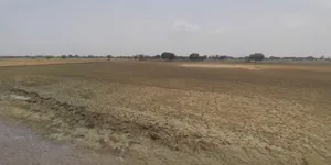 Charkhi Dadri, Haryana 127306, India preview 3