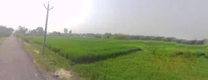 Kanpur - Lucknow Rd, Railway Colony, Alambagh, Lucknow, Uttar Pradesh, India preview 3