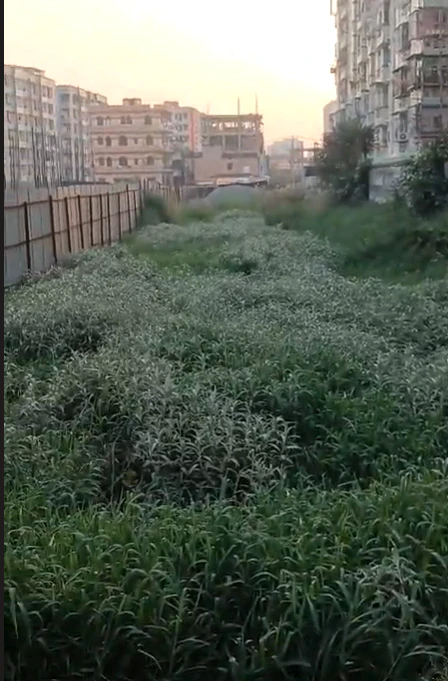 R K Puram, Patna, Bihar 801503, India