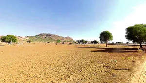 Tekri, Madhya Pradesh 481222, India preview 2