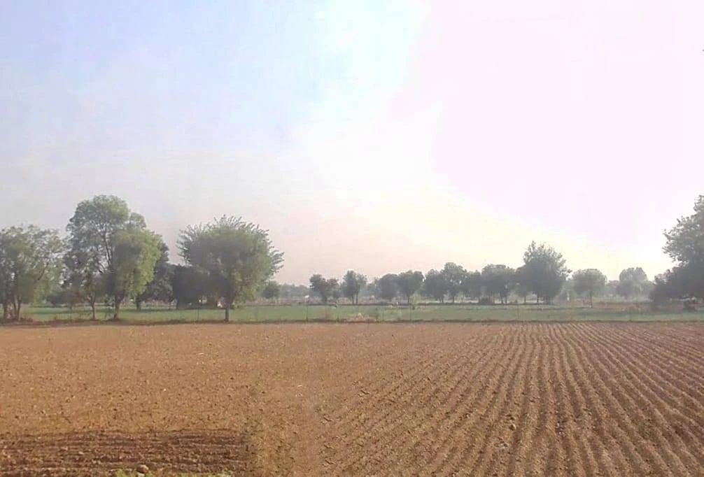 Mala Khera, Rajasthan 301406, India