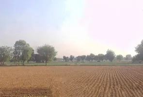Mala Khera, Rajasthan 301406, India preview 2
