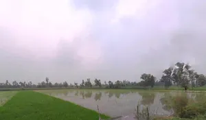 Piparia Bhaja, Uttar Pradesh, India preview 3