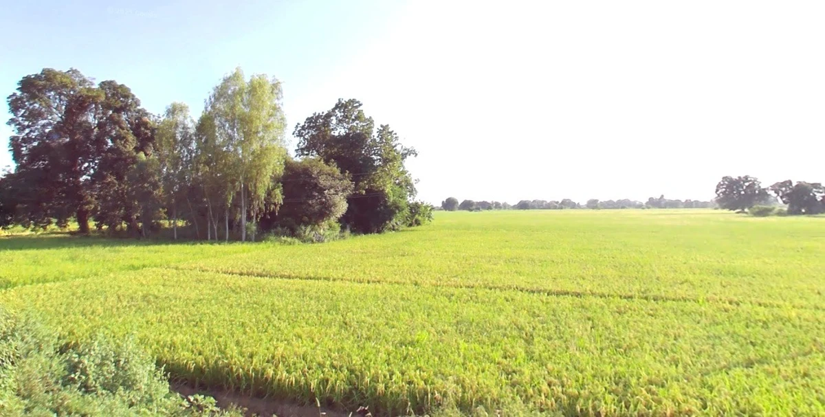 Dhanora, Madhya Pradesh 480999, India