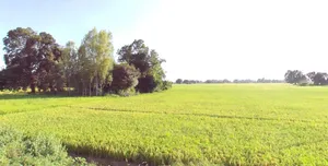 Dhanora, Madhya Pradesh 480999, India preview 3