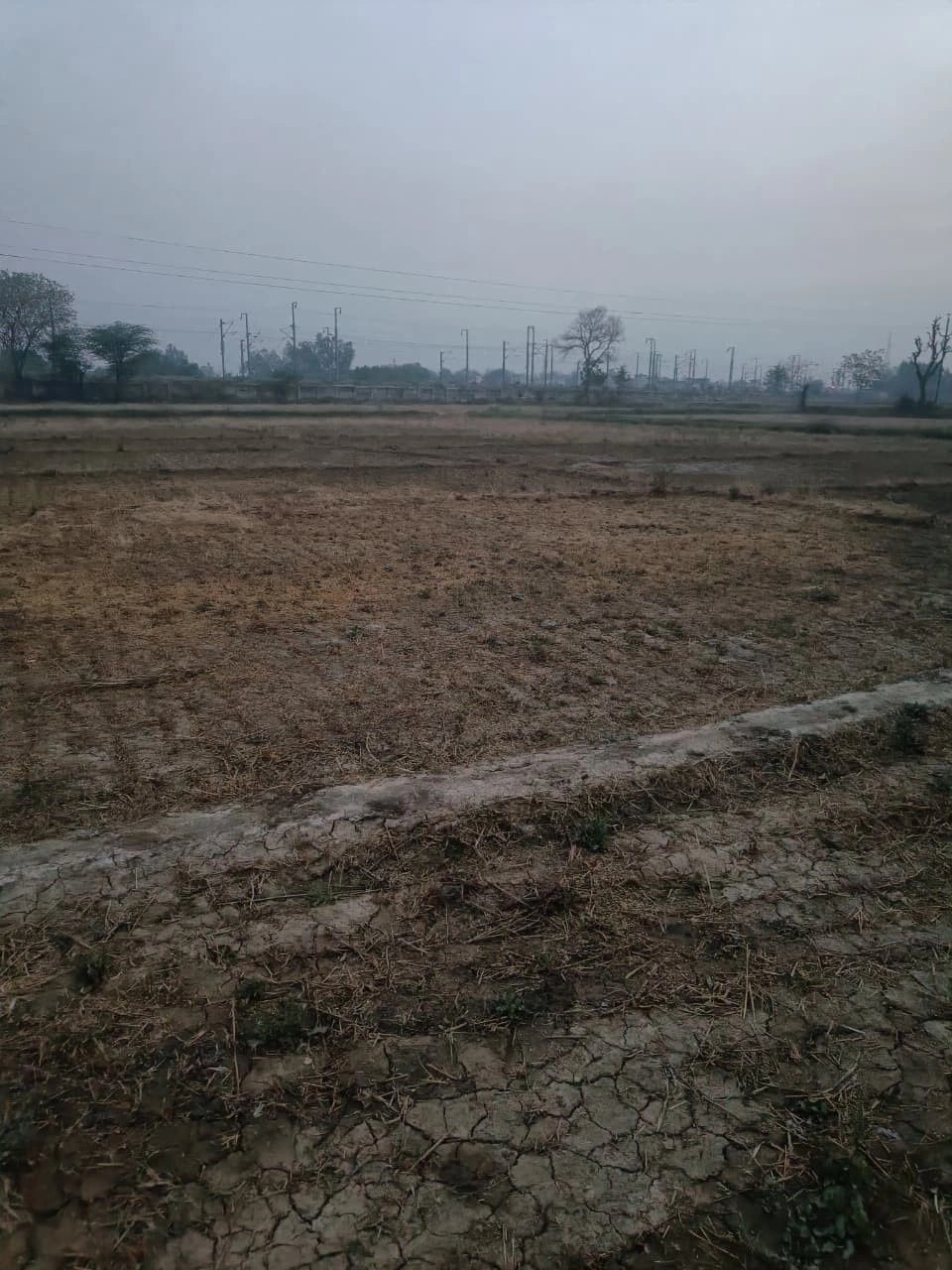 GFPR+GCQ, Dhahlavas, Rajasthan 301001, India preview 2