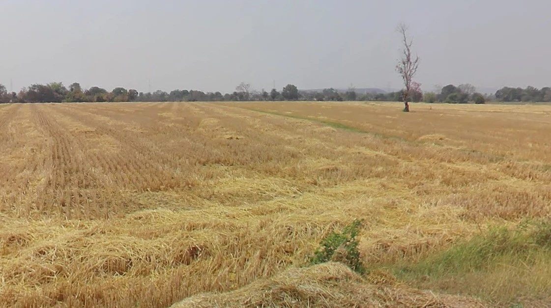 7RJM+5M4, Nagjhri, Madhya Pradesh 451220, India