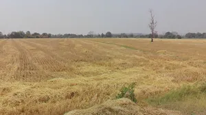 7RJM+5M4, Nagjhri, Madhya Pradesh 451220, India preview 2