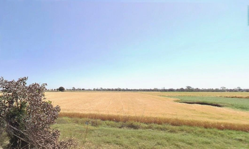 Berchha, Madhya Pradesh 465110, India